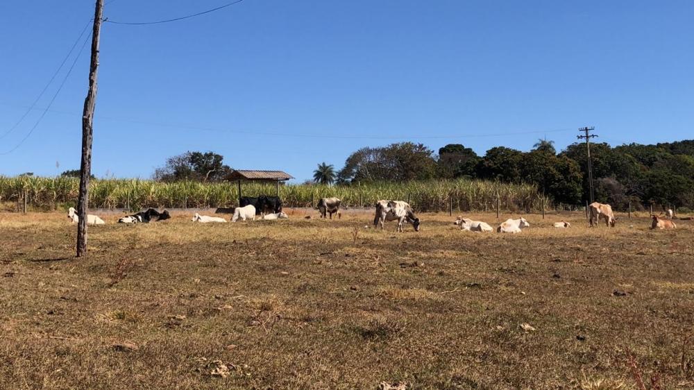 Foto:Divulgação