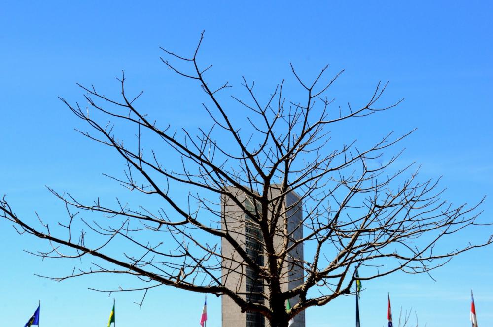 Foto/Imagem: Gizella Rodrigues/Via Agência Brasília - Foto Paulo Carvalho