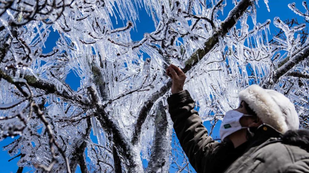 Foto:Getty