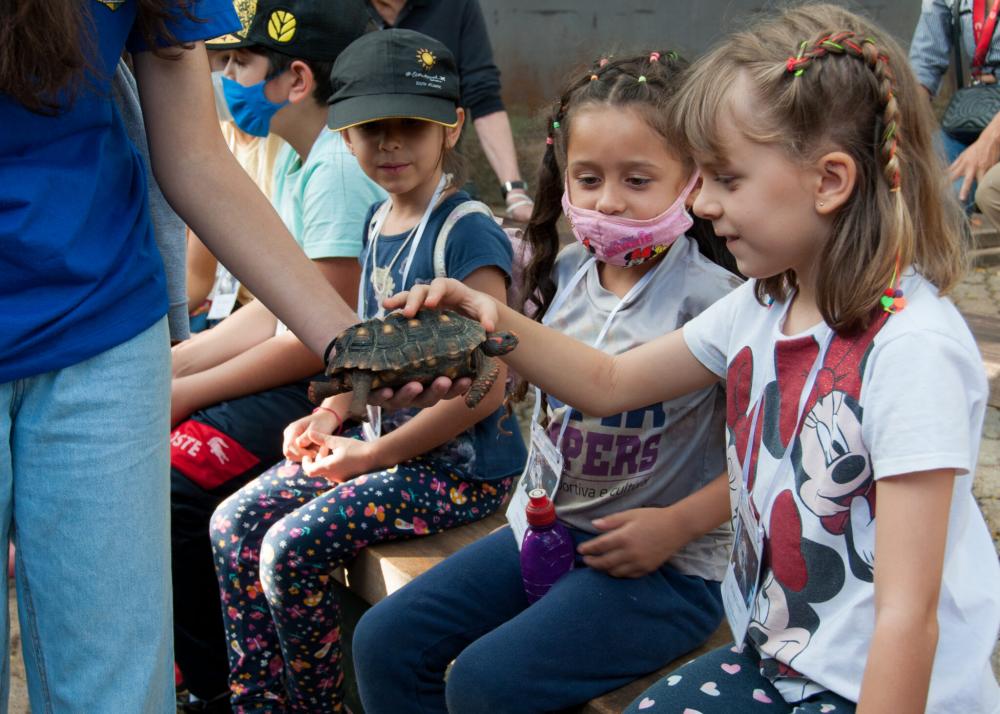 Crianças terão acesso a atividades lúdicas e educativas | Foto: Divulgação/Zoológico de Brasília