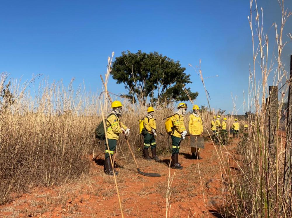 O resultado final dos participantes classificados para ingressar no curso de formação será publicado no site do Brasília Ambiental nesta quinta-feira (6) | Foto: Divulgação/Brasília Ambiental