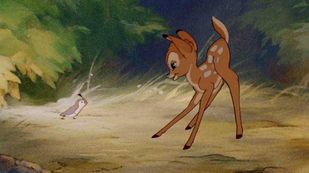 Foto: Facebook/Bambi