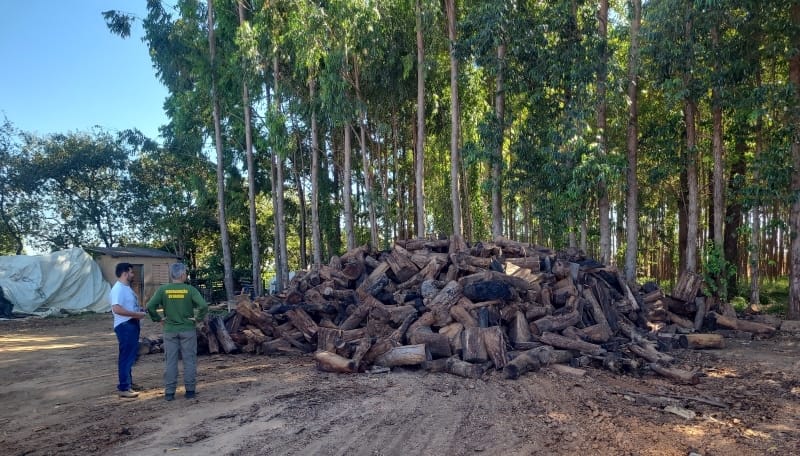 Produtos e subprodutos discriminados em instrução normativa do Ibama estão sujeitos ao controle pelo Documento de Origem Florestal (Foto: Divulgação Semad)