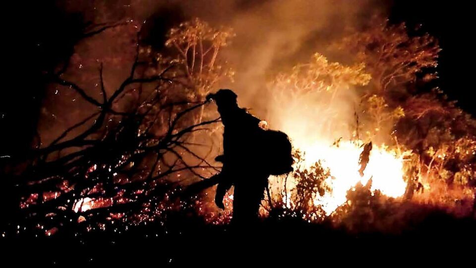 Foto:Divulgação