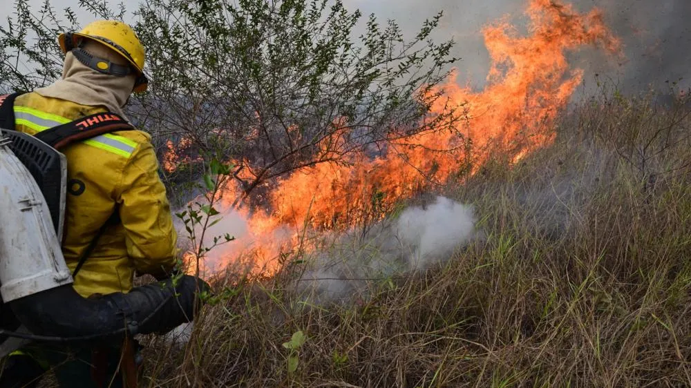 Foto:Getty Images