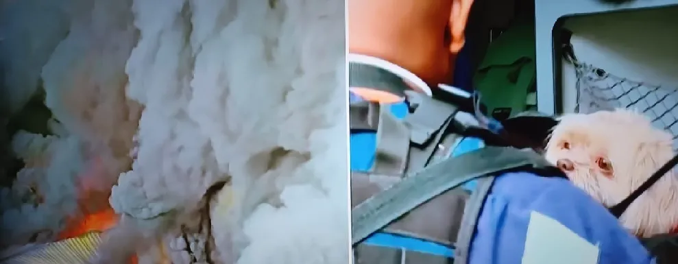 Reprodução / TV Record