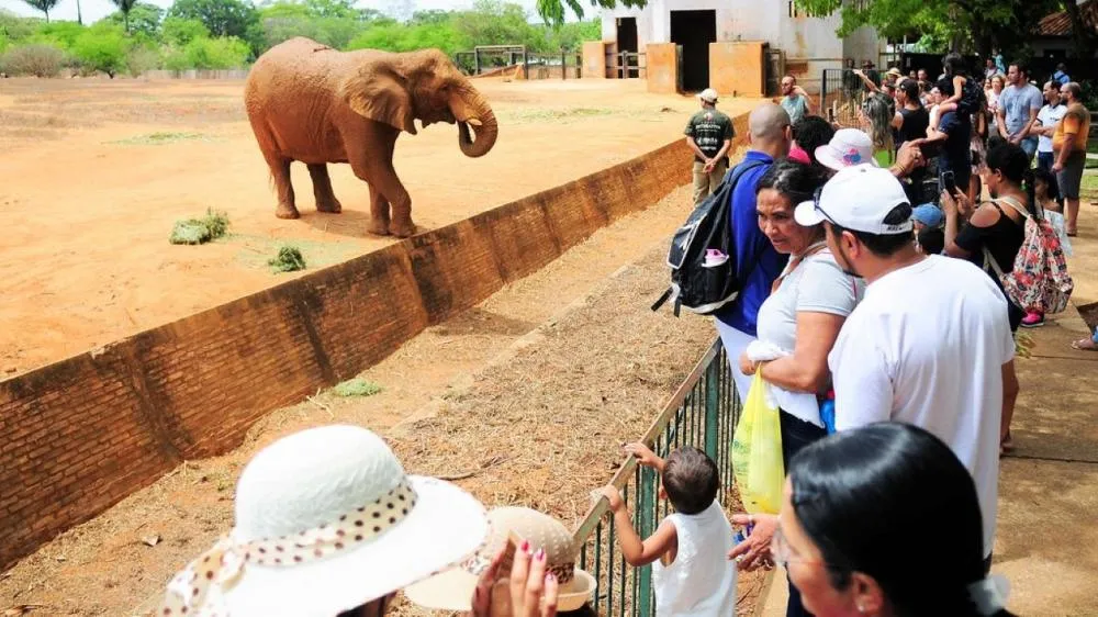 Divulgação / Zoo de Brasília