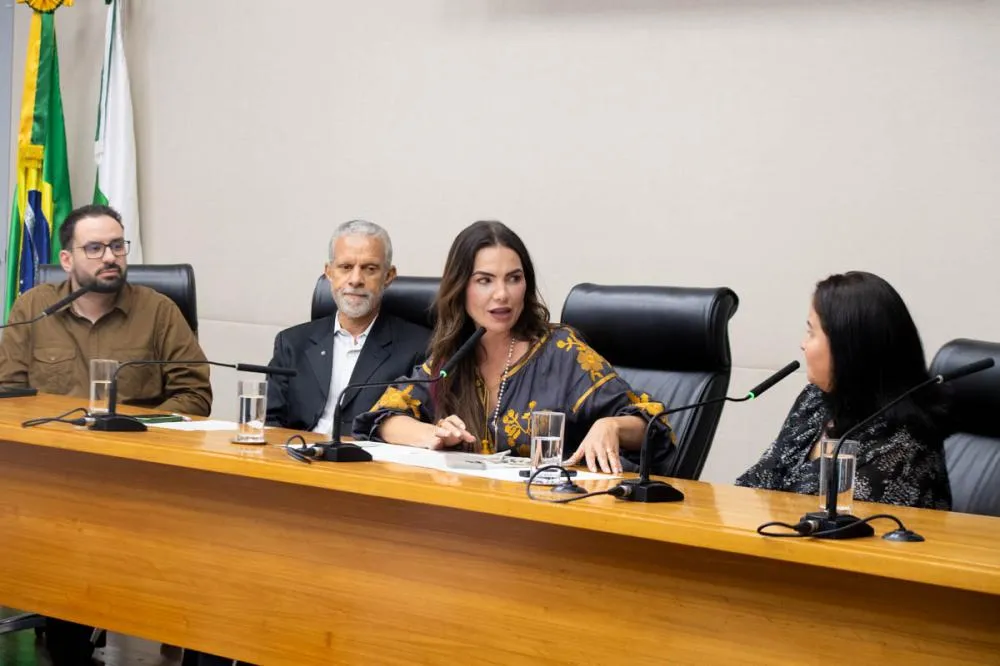 A realização do seminário foi uma iniciativa da presidente da Frente Parlamentar em Defesa dos Direitos da Criança e do Adolescente, deputada Paula Belmonte