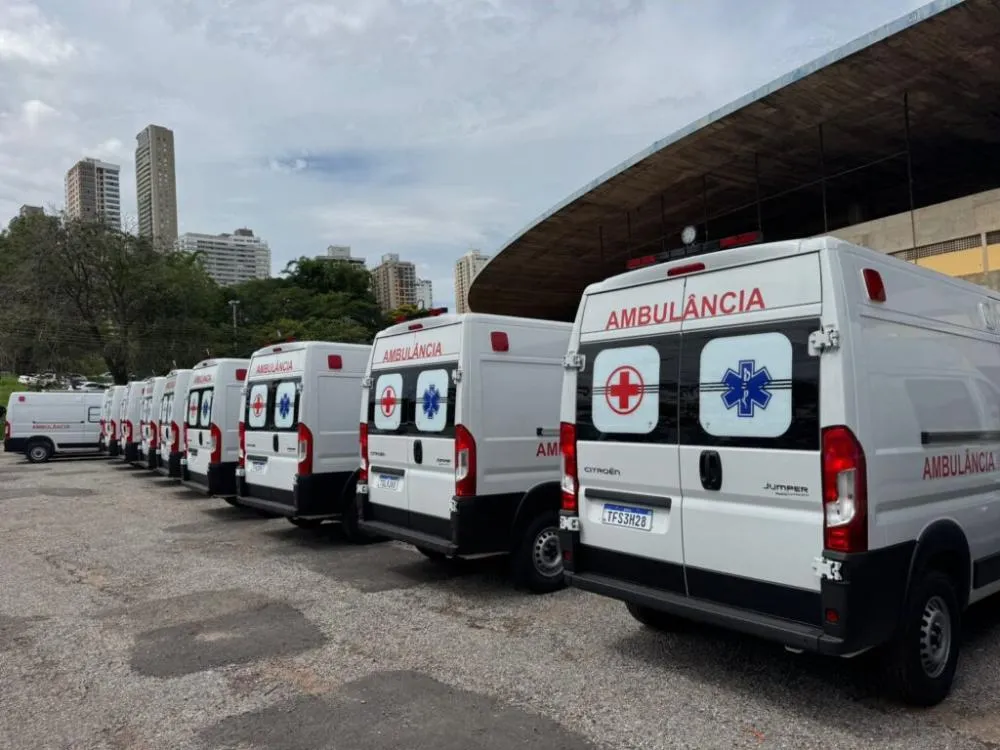 Fotos: SECOM-PMVG