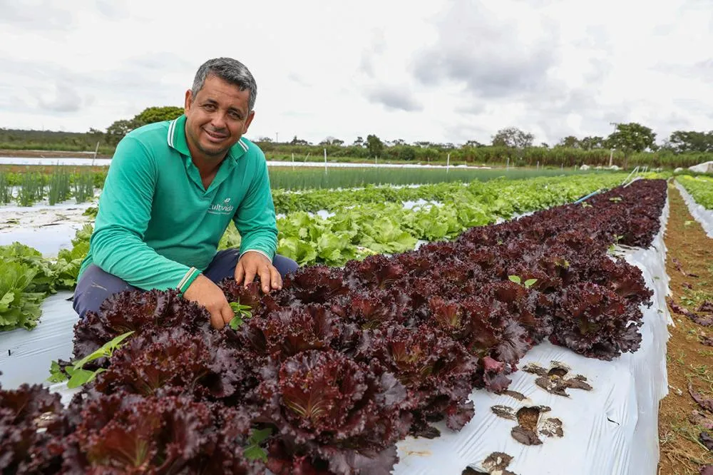 Marilúcio da Silva coordena uma produção anual de 150 toneladas de alimentos orgânicos entre Santa Maria e São Sebastião | Fotos: Paulo H. Carvalho/Agência Brasília