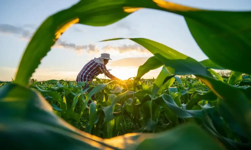 Foto: attasit_saentep/ Adobe Stock