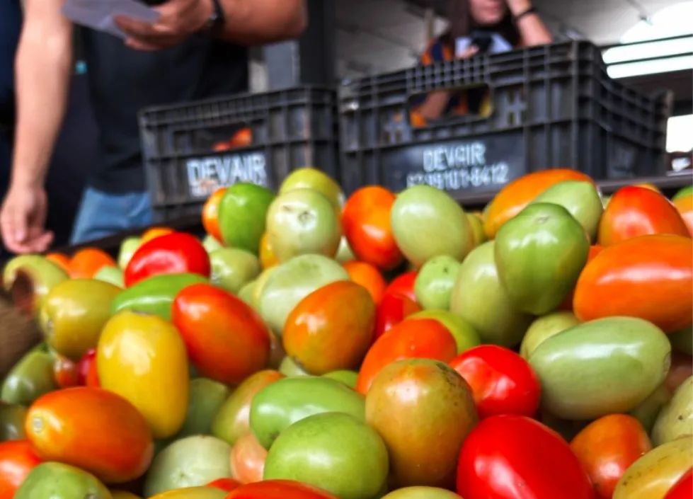 Goiás lidera produção nacional de tomate com 1,34 milhão de toneladas estimadas para 2026