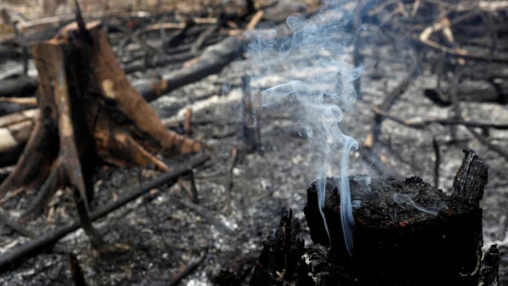 Foto: Reuters