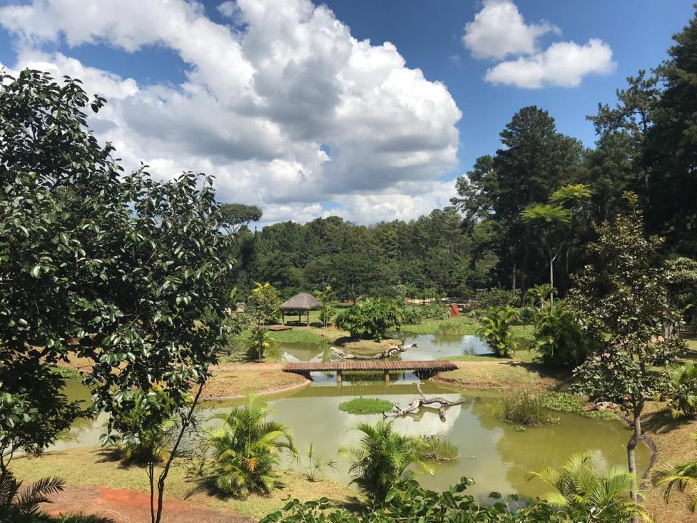 Diretora do JBB, Aline de Pieri enfatiza a importância do uso obrigatório de máscara protetiva | Foto: Jardim Botânico de Brasília
