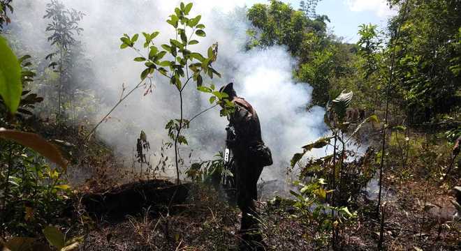 Militares vão atuar no combate ao desmatamento ilegal na Amazônia Guilherme Mendes / RecordTV