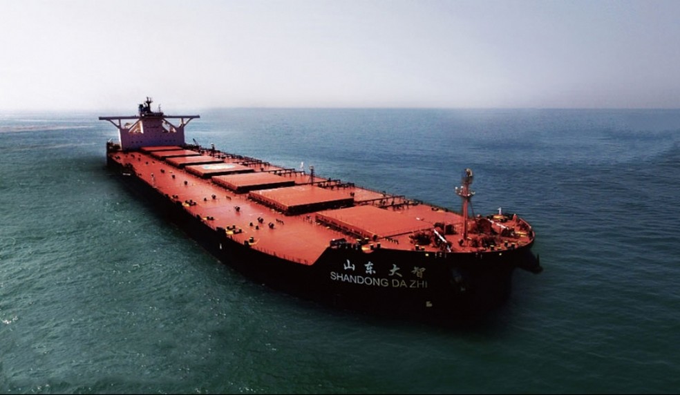 Navio MV Shandong da Zhi trouxe tripulantes infectados pela variante indiana ao Brasil — Foto: Divulgação